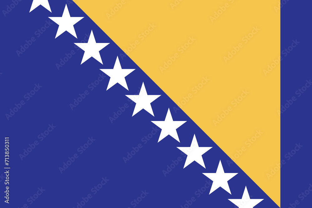 Fototapeta premium Bosnia and Herzegovina flag national emblem graphic element illustration template design. Flag of Bosnia and Herzegovina - vector illustration