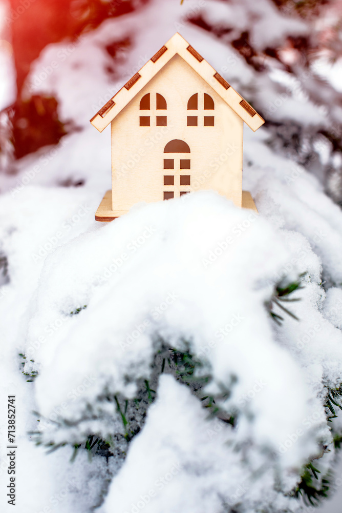 symbol of the house stands on a snow-covered fir branches
symbol of the house stands on a snow-covered fir branches