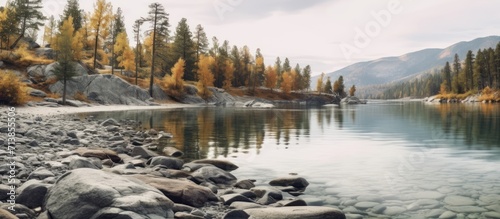 Autumn colors and a river bed Idyllic view of calm lake and rocky shore with autumn trees in background against cloudy sky at Altai,