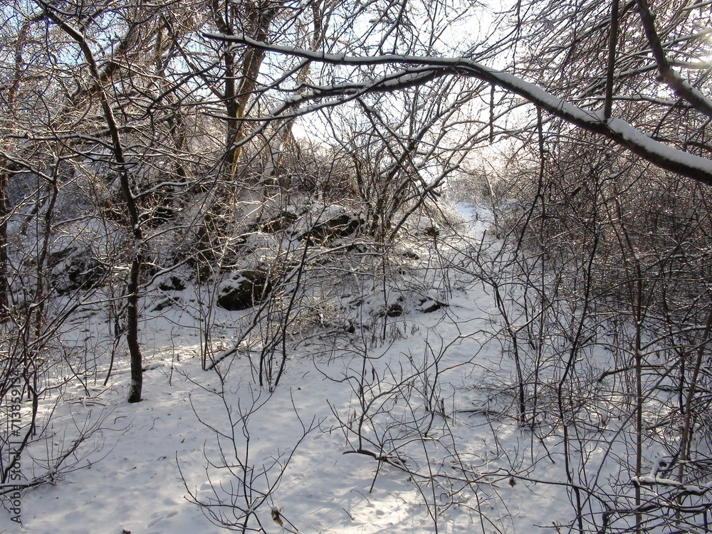 It is impossible to describe in words the natural beauty of the winter forest under the rays of the frosty sun sparkling on the white snow carpet. It is impossible to describe in words the natural beauty of the winter forest under the rays of the frosty sun sparkling on the white snow carpet.