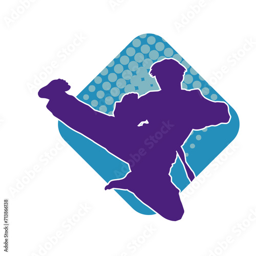 Silhouette of a male doing martial art kick pose. Silhouette of a martial art male doing kicking pose.