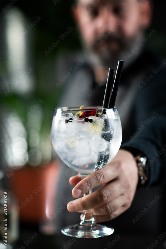Aromatic Gin Tonic Cocktail Aromatic Gin Tonic Cocktail