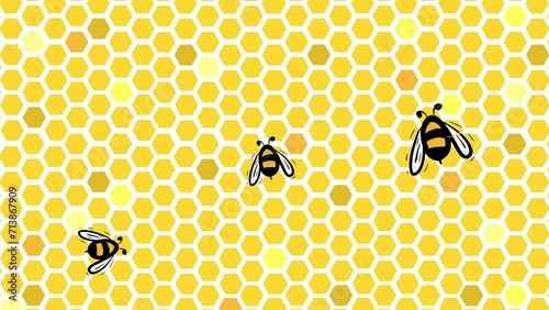 Bees fly over honeycombs. Animation