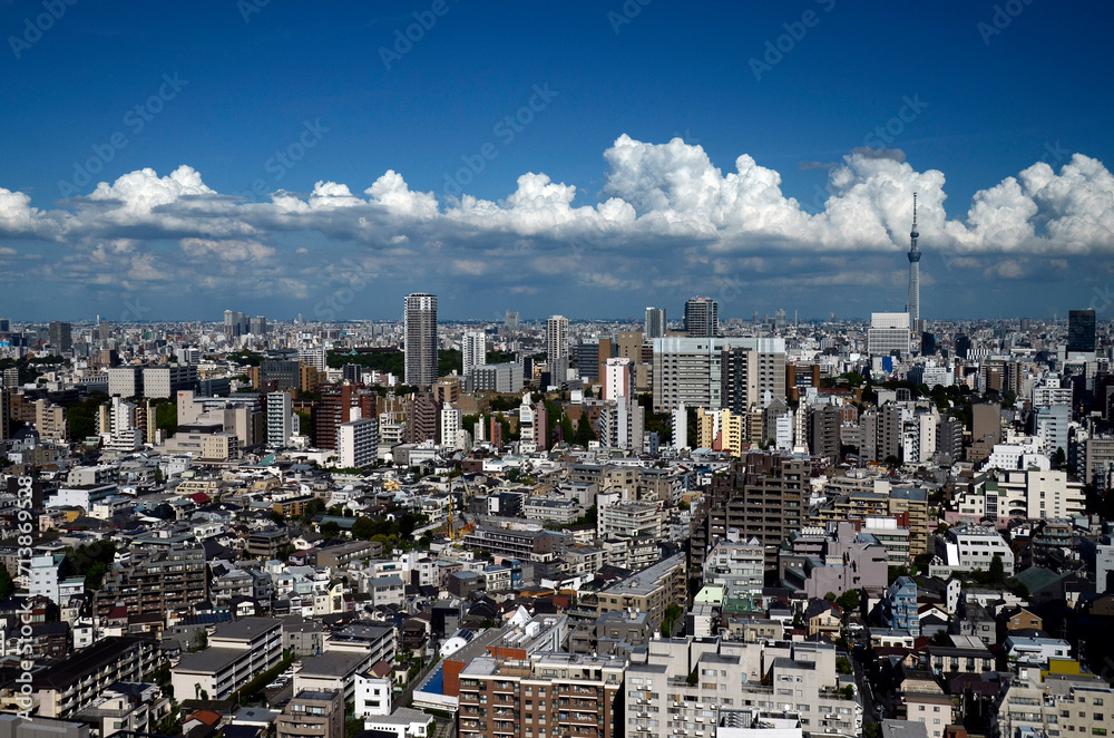 Fototapeta premium 東京の街並み