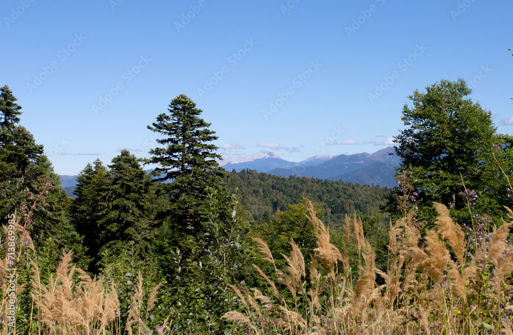 the beginning of autumn, nature walks, panoramic views, hiking trails and recreation in the mountains. the beginning of autumn, nature walks, panoramic views, hiking trails and recreation in the mountains.