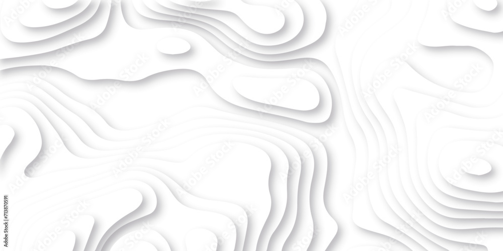 Abstract white paper cut background with lines. Background of the topographic map. White wave paper curved reliefs abstract background. Realistic papercut decoration textured with wavy layers.