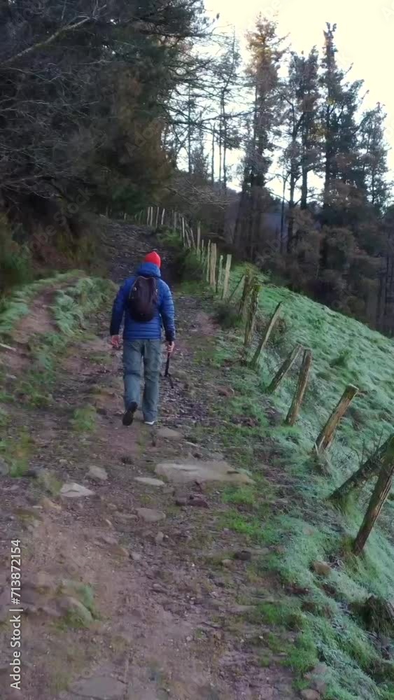 A male hiker walking on a trail in a beech forest in the mountains. Liberty sensation A male hiker walking on a trail in a beech forest in the mountains. Liberty sensation
