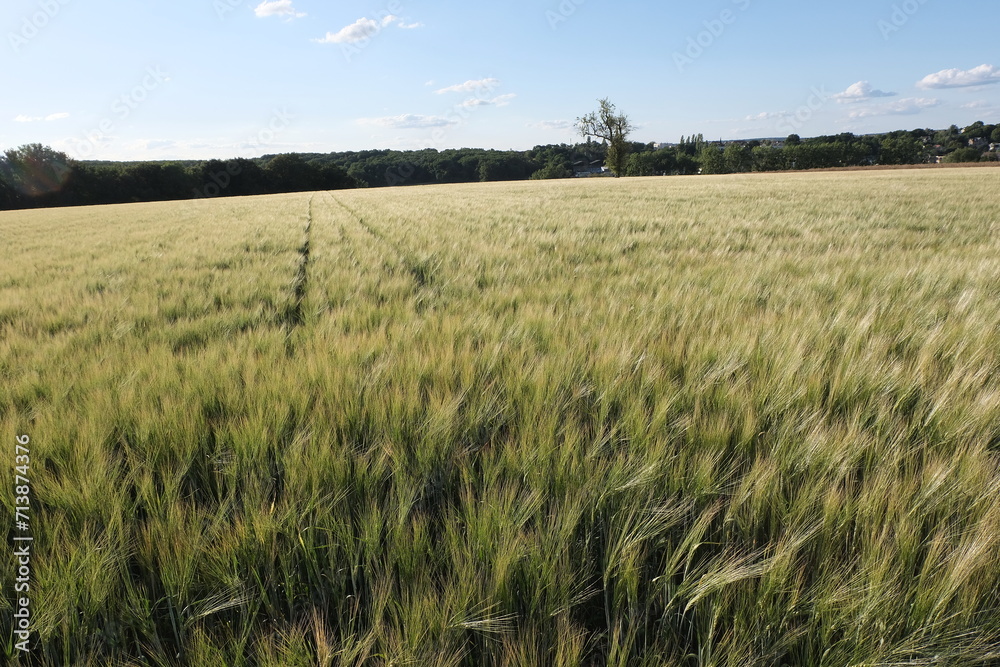 Various fields, wide lands, and valleys. With interesting colors, lines, and textures. Shot in France. Various fields, wide lands, and valleys. With interesting colors, lines, and textures. Shot in France.
