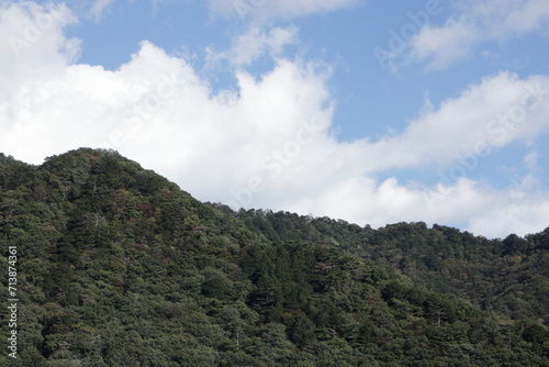 山と森と空の風景