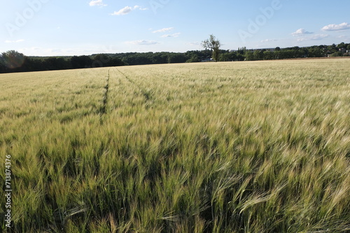 Various fields, wide lands, and valleys. With interesting colors, lines, and textures. Shot in France.