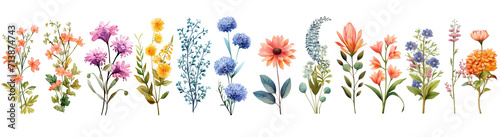 Set of beautiful various brightly colored floral flower  Watercolor collection of hand drawn flowers   Botanical plant illustration transparent background  PNG