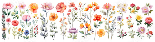 Set of beautiful various brightly colored floral flower ,Watercolor collection of hand drawn flowers , Botanical plant illustration transparent background, PNG © HappyTime 17