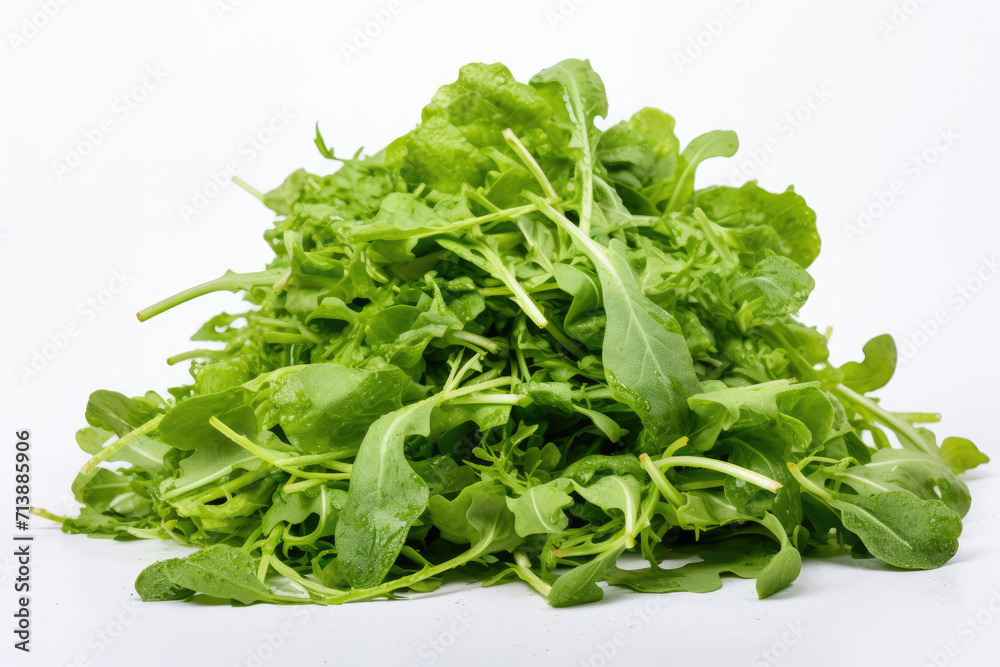 Arugula plant, isolated white background Arugula plant, isolated white background