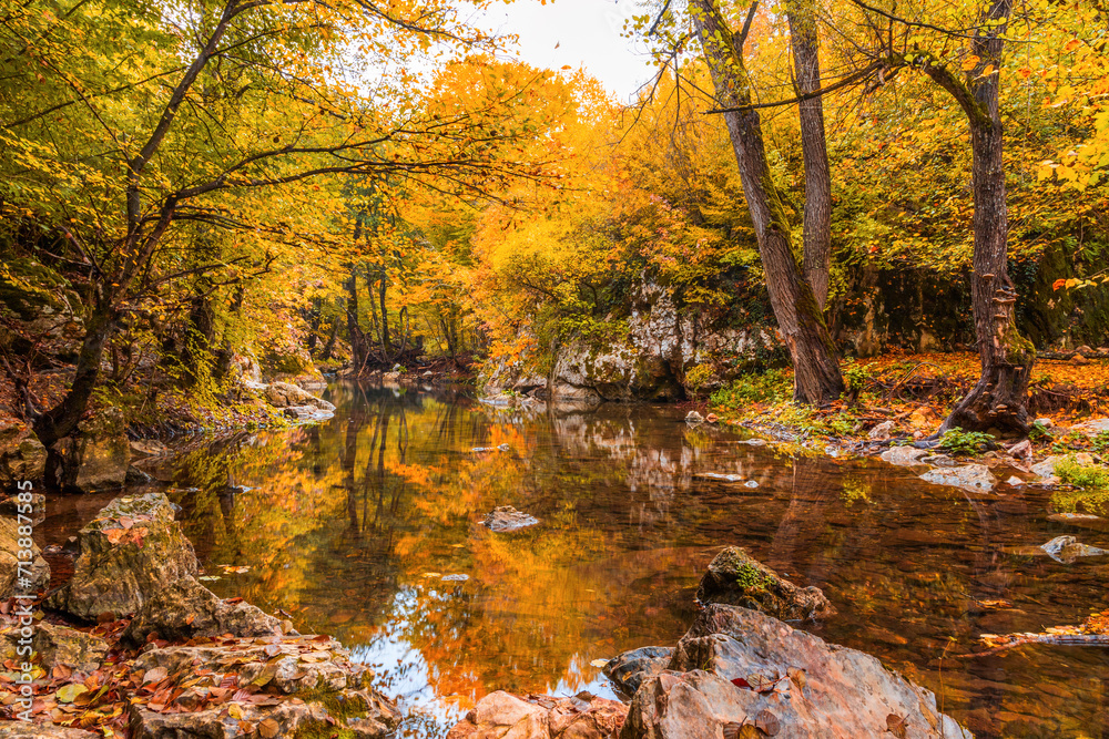 Beautiful autumn landscape with calm mountain river and colorful trees