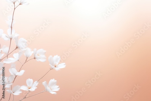 Spring flower abstract pastel pink banner with frame of tender pink flower blossom patterns symbolized beauty  femininity mockup  may  colorful mother s day transparent background with copy space