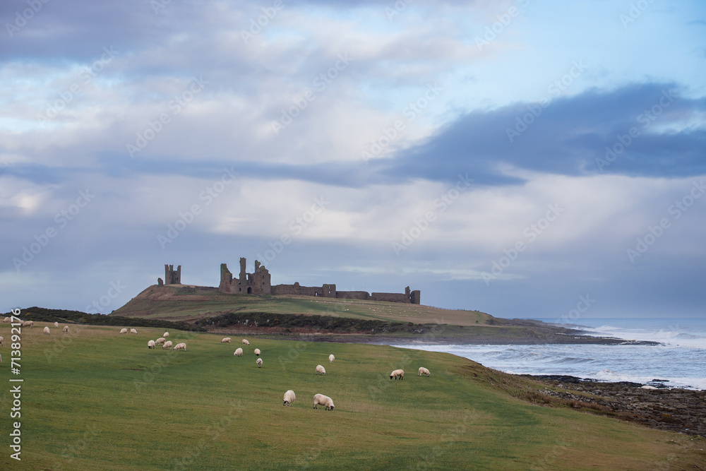 Dunstanburgh Castle with sheep in the foreground