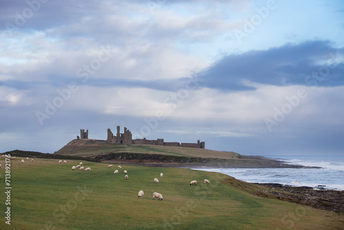 Dunstanburgh Castle with sheep in the foreground