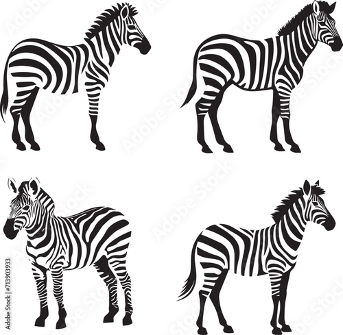 Set of Zebra black and white 