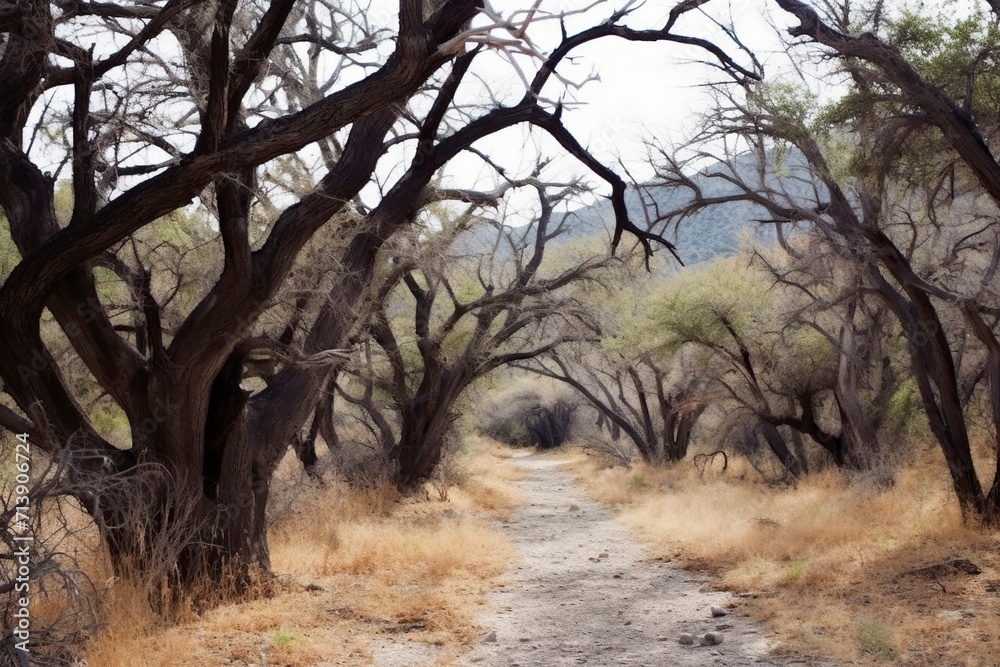 Beautiful Images of Nature and Object Beautiful Images of Nature and Object