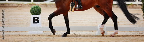 Obraz na plátně The picture shows a dressage horse on the hoof beat of the dressage arena in the walking gait at circle point B