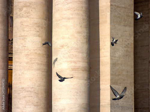 Colombi tra il colonnato della Basilica di San Pietro nella Città del Vaticano 2067 photo