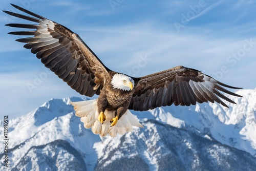 Bald eagle Flying over the Mountain