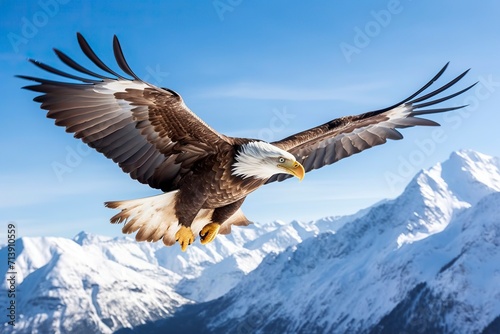 Bald eagle Flying over the Mountain © NabilBin