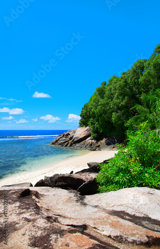 Island Moyenne, Sainte Anne Marine National Park, Republic of Seychelles, Africa. © Iryna Shpulak