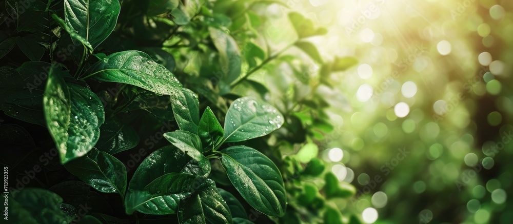 ERP EMERGENCY RESPONSE PROCEDURES text on white surrounded by green leaves. Creative Banner. Copyspace image ERP EMERGENCY RESPONSE PROCEDURES text on white surrounded by green leaves. Creative Banner. Copyspace image