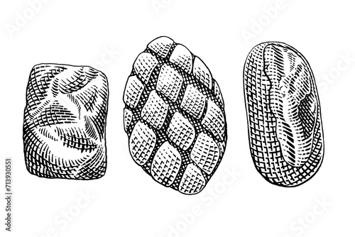 hand drawn vector sketch illustration of fresh bread, bakery, bread.