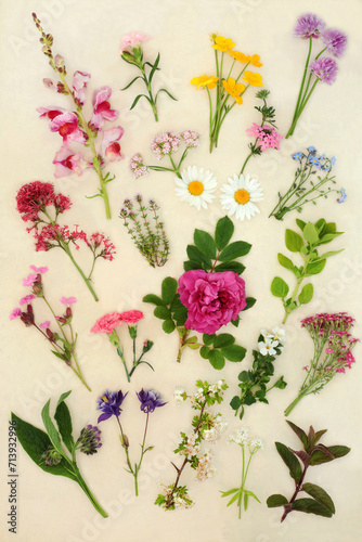 British Spring and Summer flowers wildflowers and herb collection. Used in natural herbal medicine remedies and food decoration. On hemp paper background. © marilyn barbone