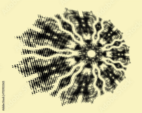 A mottled halftone mandala with radial curved rays rushes forward. Vector. photo