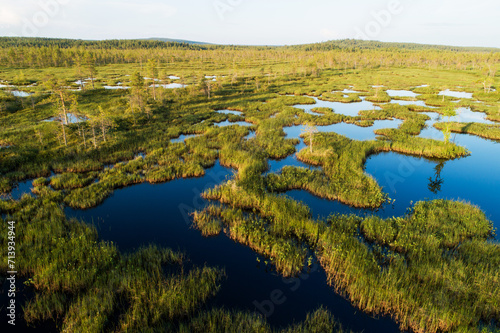 An aerial of a summery wetland with bog ponds near Kemijärvi, Northern Finland photo