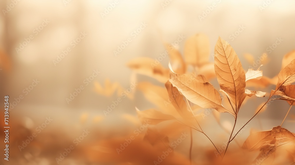 Fototapeta premium leaves