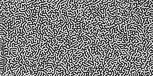 Turing reaction diffusion monochrome seamless pattern with chaotic motion .Linear design with biological shapes. Organic lines in memphis. abstract turing organic wallpaper background . photo