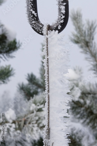 Eiskristalle an Blumen und Pflanzen 