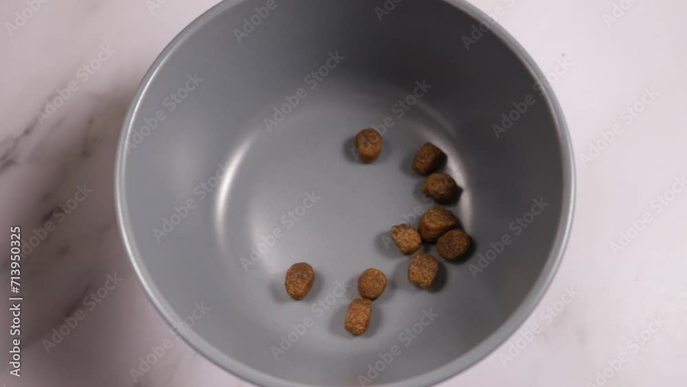 cat food cascades into the bowl, meal for kitty, a tasty treat, Feline nutrition, top view