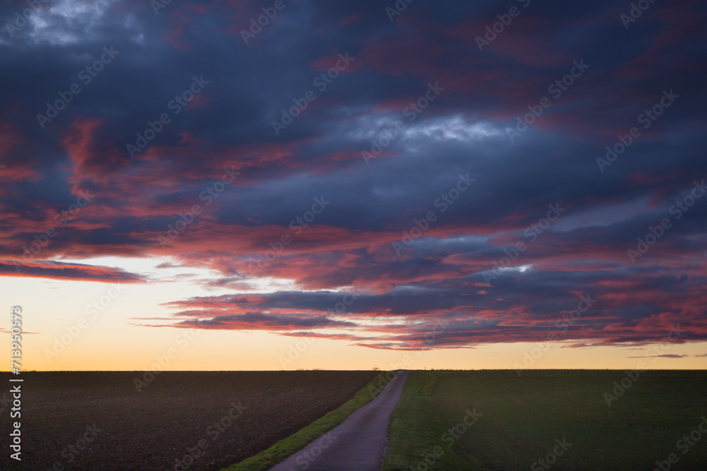 route au milieu des champs le soir au soleil couchant
