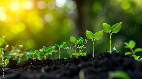 Illustration of plant growth stages from seed to mature plant, symbolizing development, success, and natural progression in a life cycle concept. photo