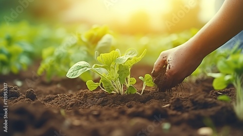 Hand farmers planting mustard in vegetable garden. Healthy food and vegan food dieting concept. Created with Generative AI