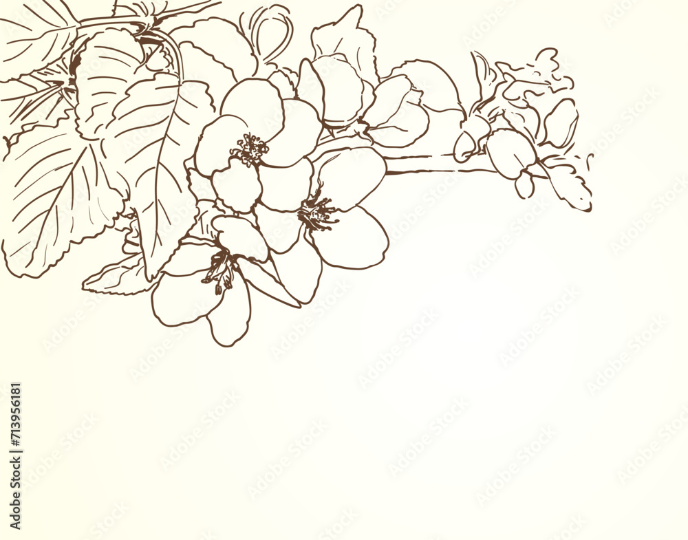 Spring tree flowers line art drawing background with space for text. vector illustration