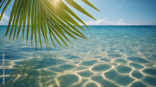 palm leaf isolated on sunny blue rippled water surface, summer beach holidays background concept with copy space