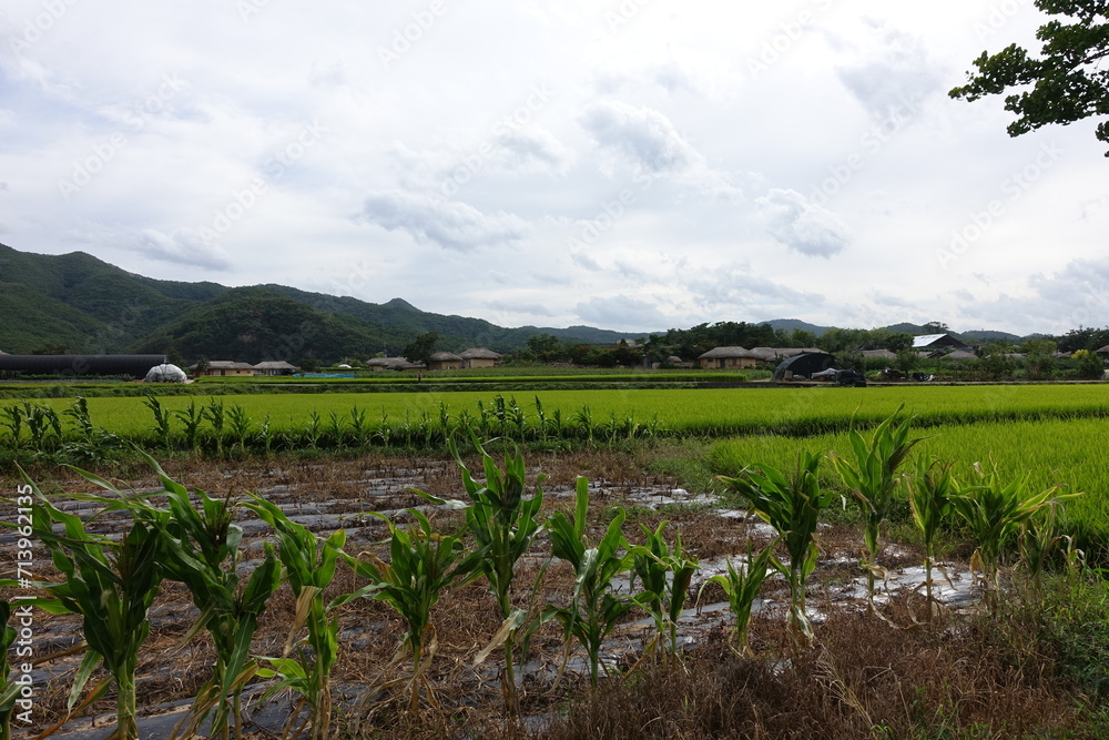 Hahoe Village Andong Hahoe Village Andong