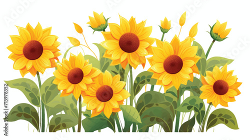 Sunflowers illustration vector