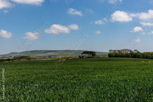 Looking out over farmland in Sussex on a sunny late spring day