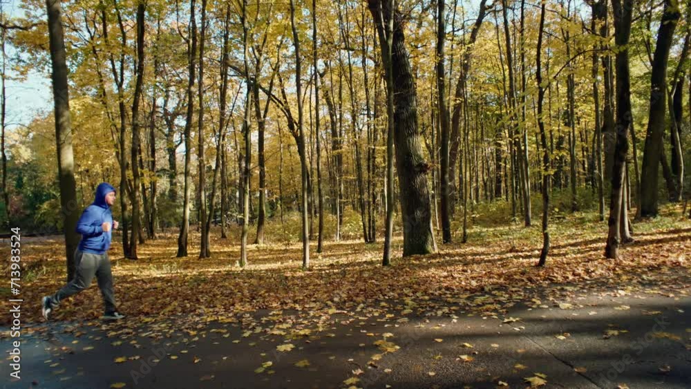Harvesting Health: A Dynamic Run Through Autumn's Golden Canopy for an Active Lifestyle Adventure. High quality 4k footage Harvesting Health: A Dynamic Run Through Autumn's Golden Canopy for an Active Lifestyle Adventure. High quality 4k footage