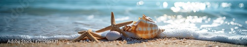 Seashells Scattered on Sandy Beach