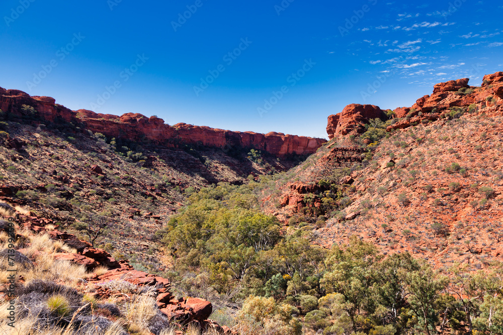 Fototapeta premium Kings Canyon