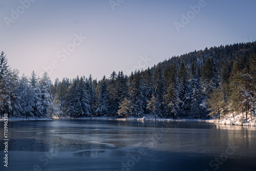 A frozen lake in the woods © L3V3C