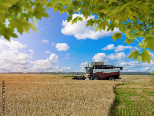 Harvester in wheat field. A...